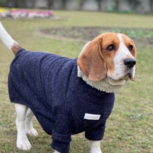 Blueberry Dog Sweater