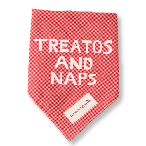 Treatos and Naps Dog Bandana