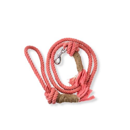 Peachy Rope Dog Leash