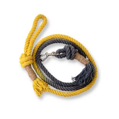 Sunset Rope Dog Leash