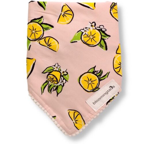Lemon Dog Bandana