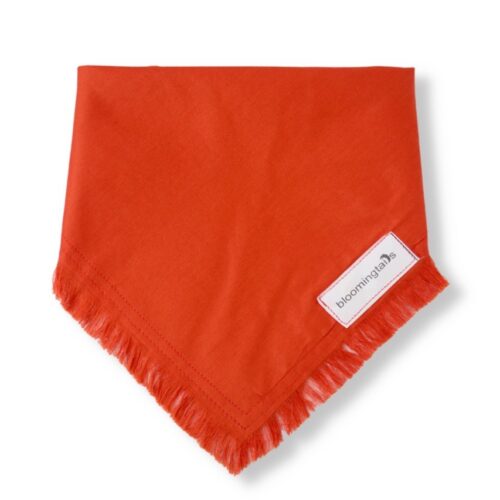 Pumpkin Spice Dog Bandana