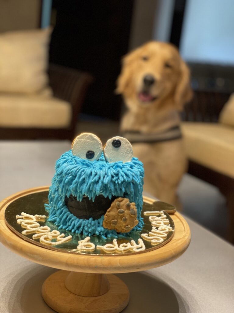 Dog cake