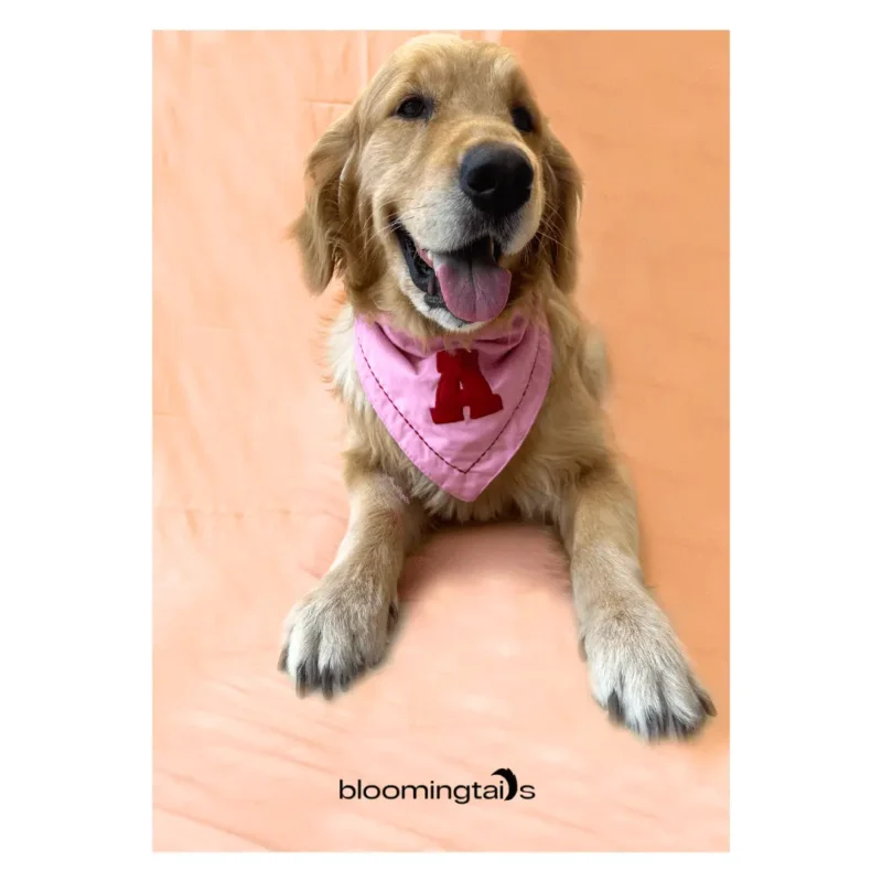 dog-wearing-Cherry-Swirl-Custom-Dog-Bandana; dog name customised bandana