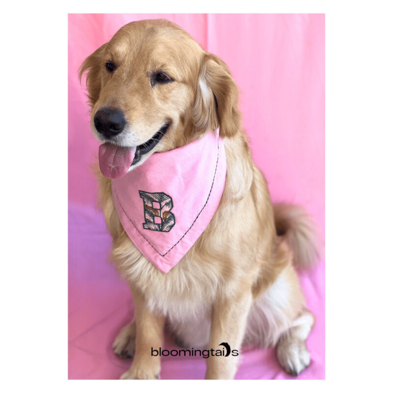 dog wearing in-the-wild-Custom-Dog-Bandana; dog name customised bandana