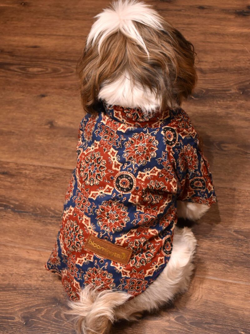 dog wearing kurta; diwali outfit for dogs