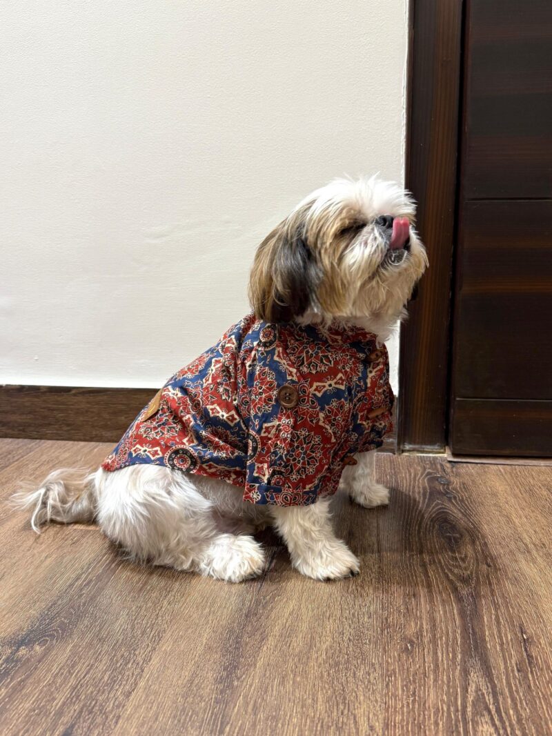 rakshabandhan dog outfit; diwali outfit for dogs